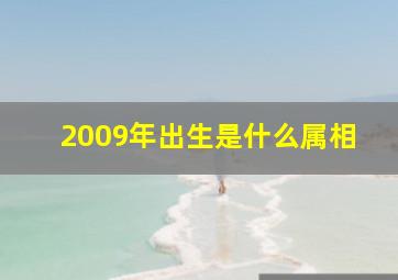 2009年出生是什么属相