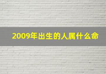 2009年出生的人属什么命