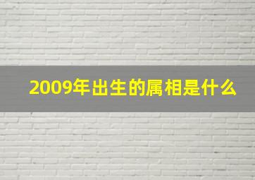 2009年出生的属相是什么