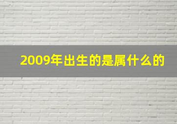 2009年出生的是属什么的