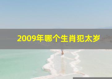 2009年哪个生肖犯太岁