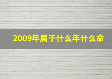 2009年属于什么年什么命