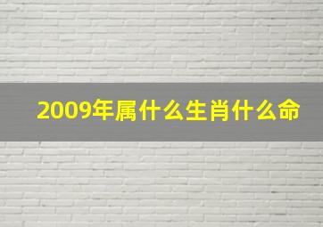 2009年属什么生肖什么命