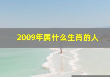 2009年属什么生肖的人