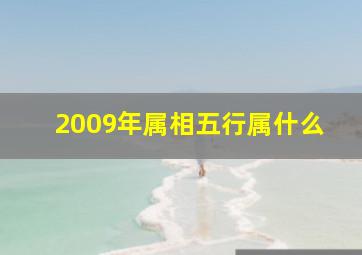 2009年属相五行属什么