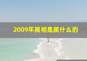 2009年属相是属什么的