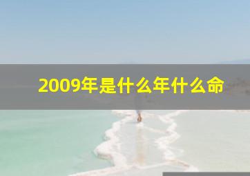 2009年是什么年什么命