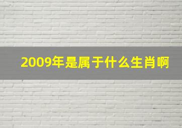 2009年是属于什么生肖啊