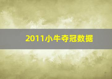 2011小牛夺冠数据