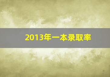 2013年一本录取率