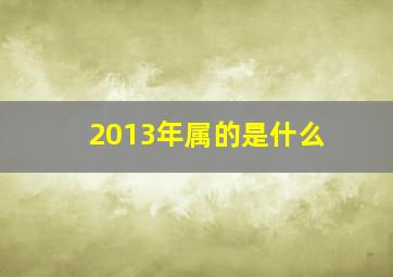 2013年属的是什么