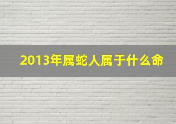 2013年属蛇人属于什么命