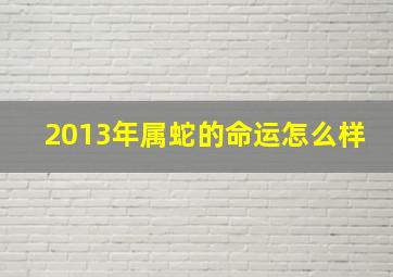 2013年属蛇的命运怎么样