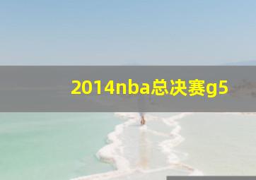 2014nba总决赛g5