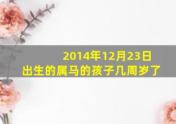 2014年12月23日出生的属马的孩子几周岁了