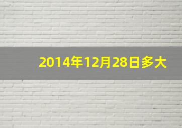 2014年12月28日多大