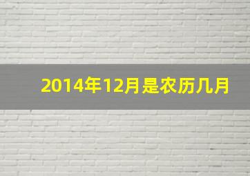 2014年12月是农历几月