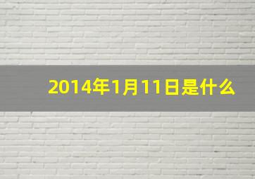 2014年1月11日是什么