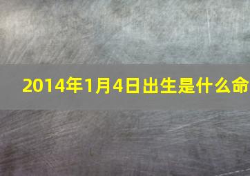 2014年1月4日出生是什么命