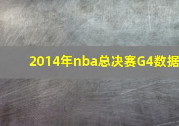 2014年nba总决赛G4数据