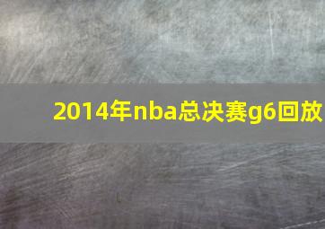 2014年nba总决赛g6回放