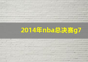 2014年nba总决赛g7