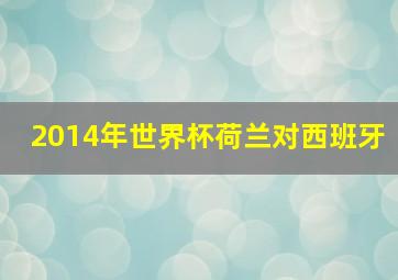 2014年世界杯荷兰对西班牙