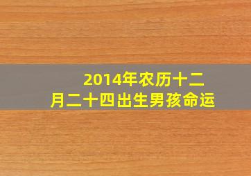 2014年农历十二月二十四出生男孩命运