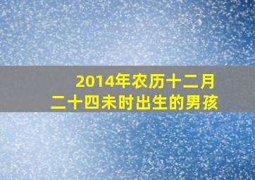 2014年农历十二月二十四未时出生的男孩