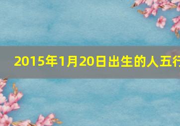 2015年1月20日出生的人五行