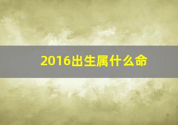 2016出生属什么命