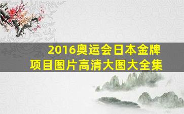 2016奥运会日本金牌项目图片高清大图大全集