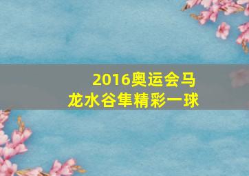 2016奥运会马龙水谷隼精彩一球