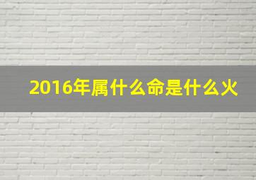 2016年属什么命是什么火