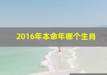 2016年本命年哪个生肖