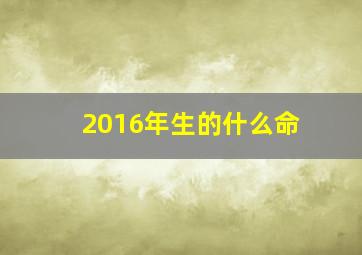 2016年生的什么命