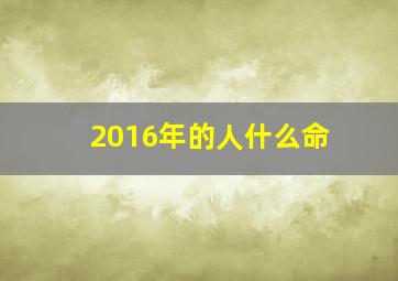 2016年的人什么命