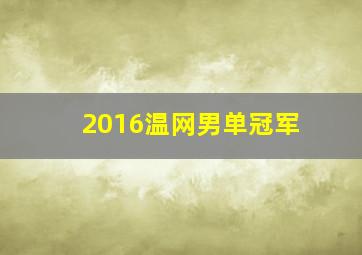 2016温网男单冠军