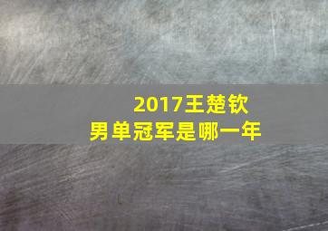 2017王楚钦男单冠军是哪一年