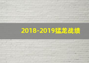 2018-2019猛龙战绩