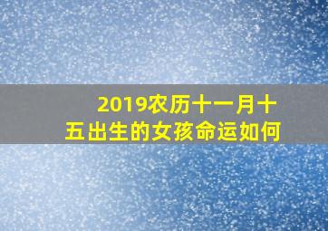 2019农历十一月十五出生的女孩命运如何