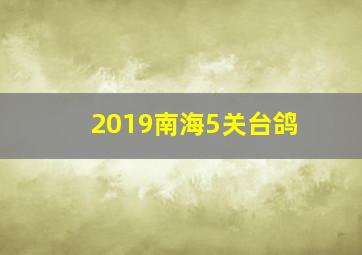 2019南海5关台鸽