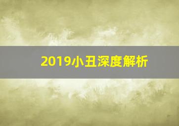 2019小丑深度解析