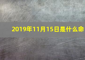 2019年11月15日是什么命