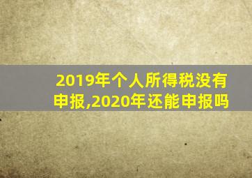 2019年个人所得税没有申报,2020年还能申报吗