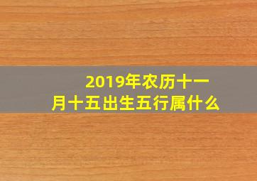 2019年农历十一月十五出生五行属什么