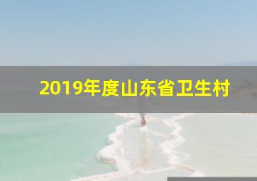 2019年度山东省卫生村