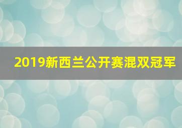 2019新西兰公开赛混双冠军