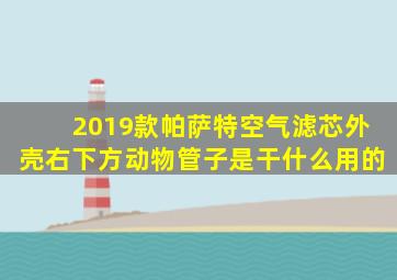 2019款帕萨特空气滤芯外壳右下方动物管子是干什么用的