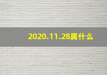 2020.11.28属什么